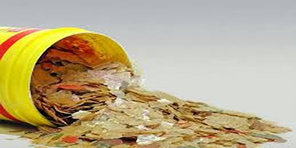 تصویر 1 از قیمت خرید خوراک ماهی زینتی + فروش ویژه